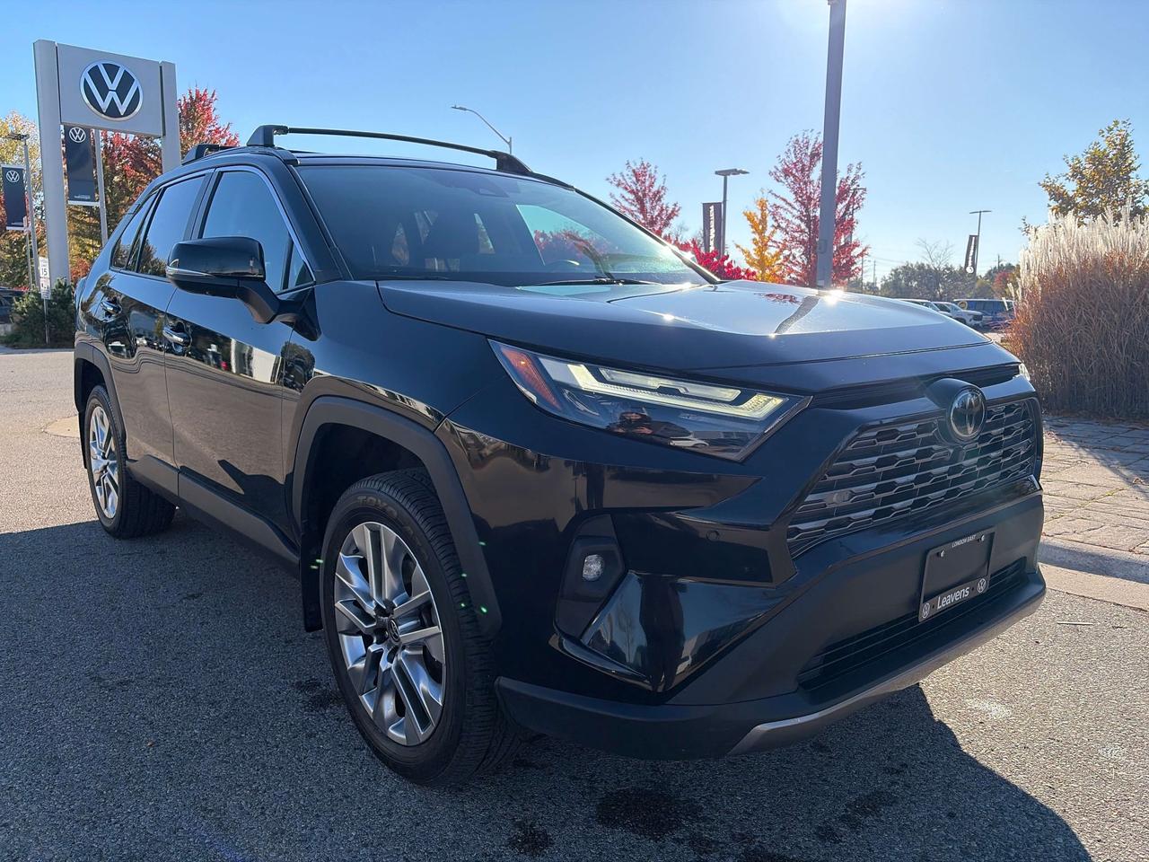 2024 Toyota RAV4 LIMITED  Photo
