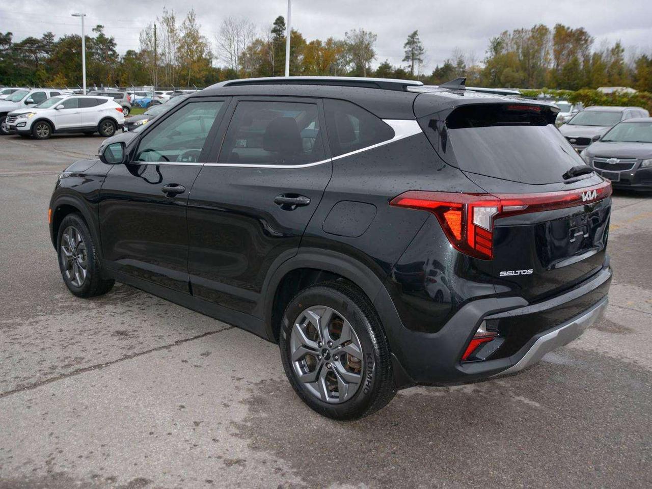 2024 Kia Seltos EX Photo