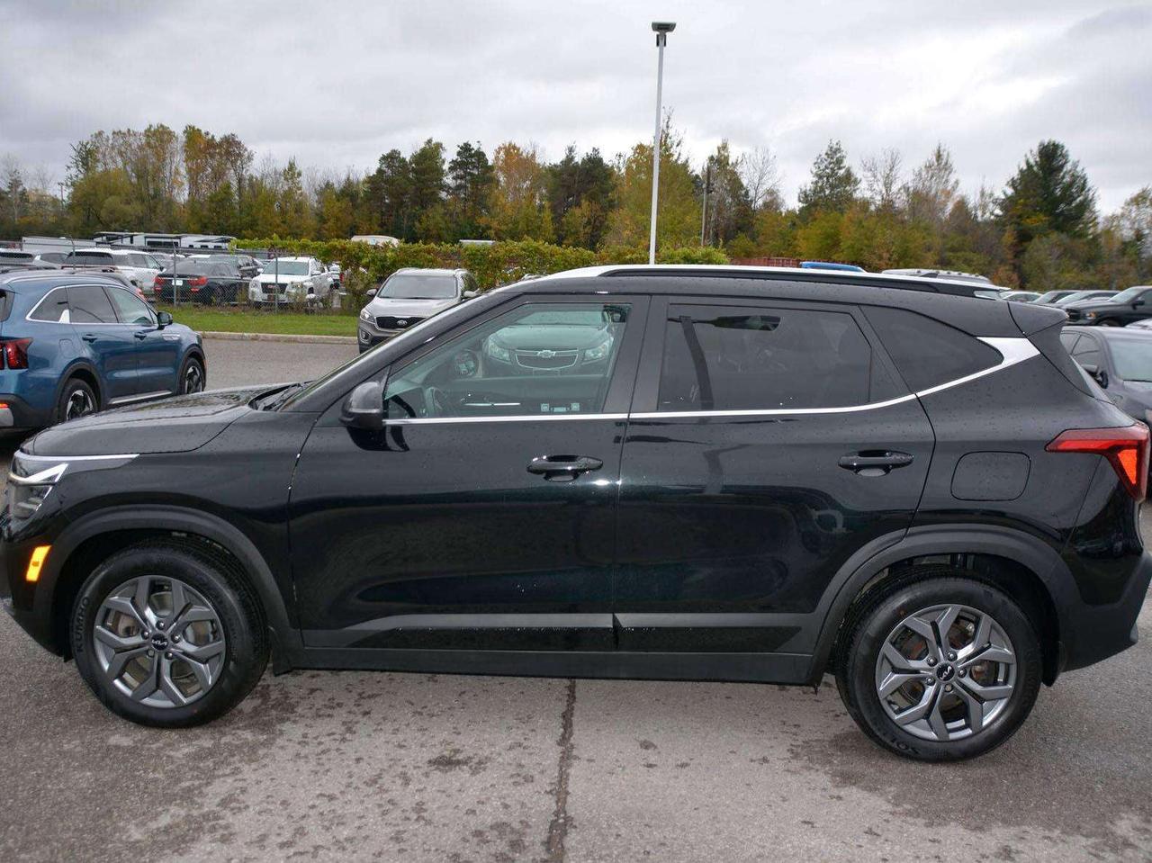 2024 Kia Seltos EX Photo1