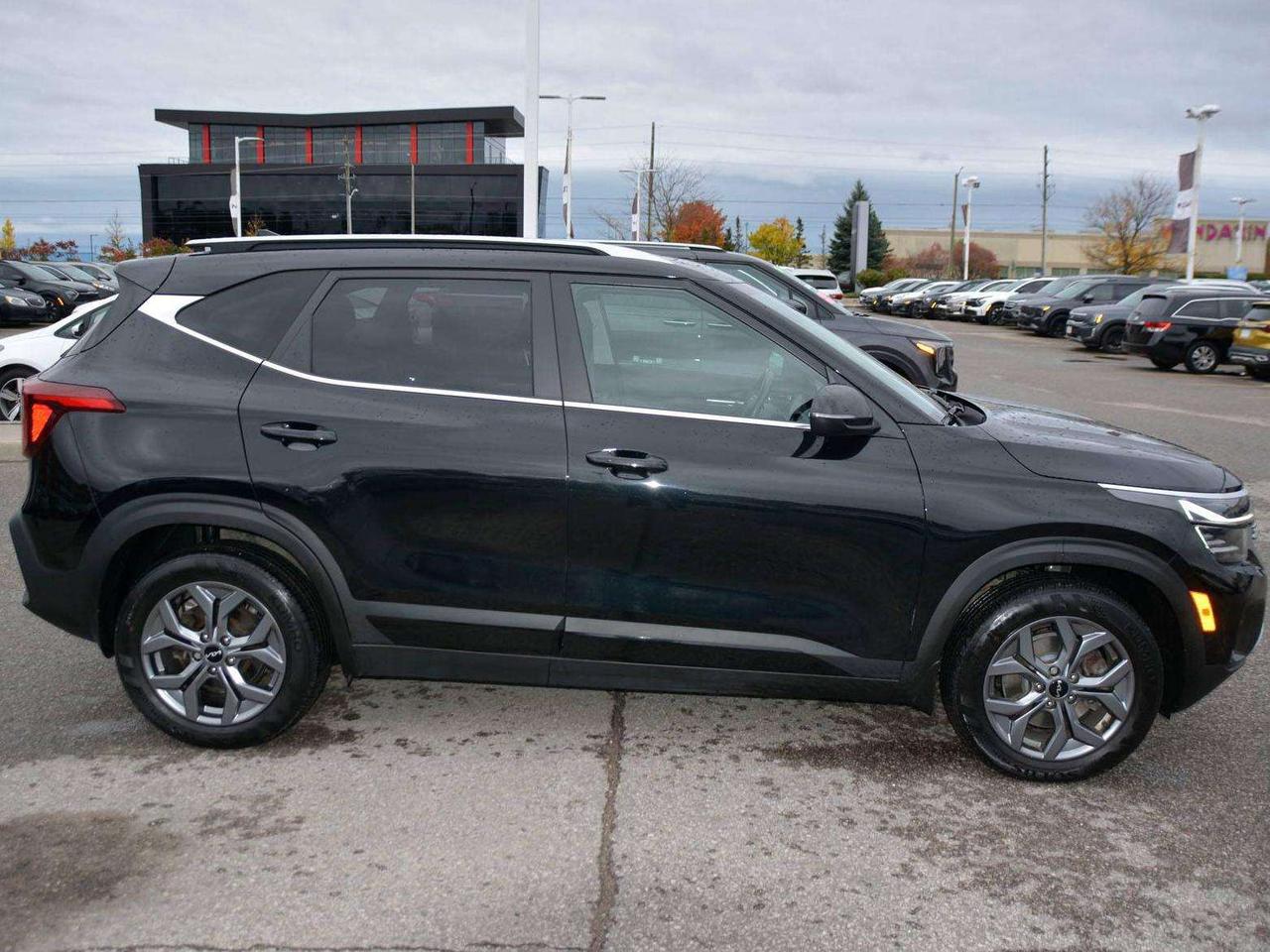 2024 Kia Seltos EX Photo