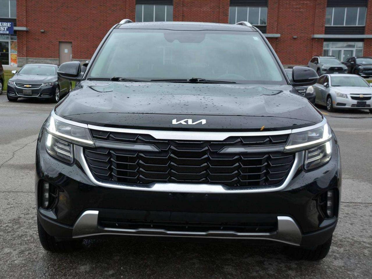 2024 Kia Seltos EX Photo