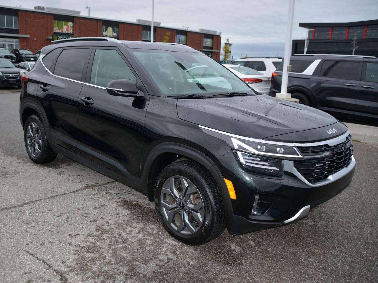 2024 Kia Seltos EX Photo
