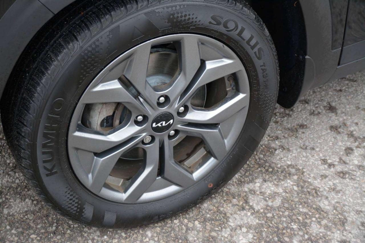 2024 Kia Seltos EX Photo