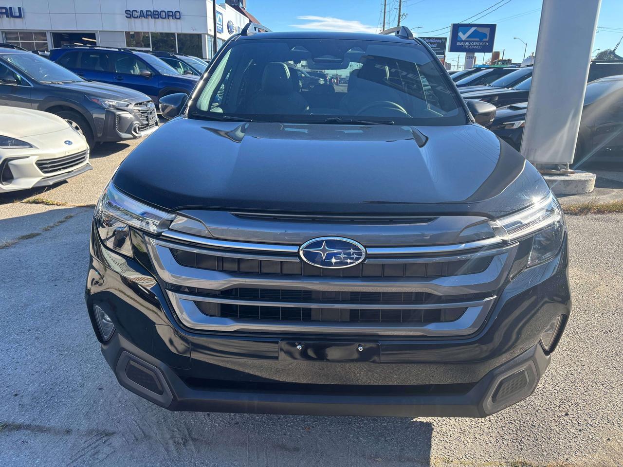 2026 Subaru Forester Limited, FROM 3.99% FINANCING AVAILABLE Photo