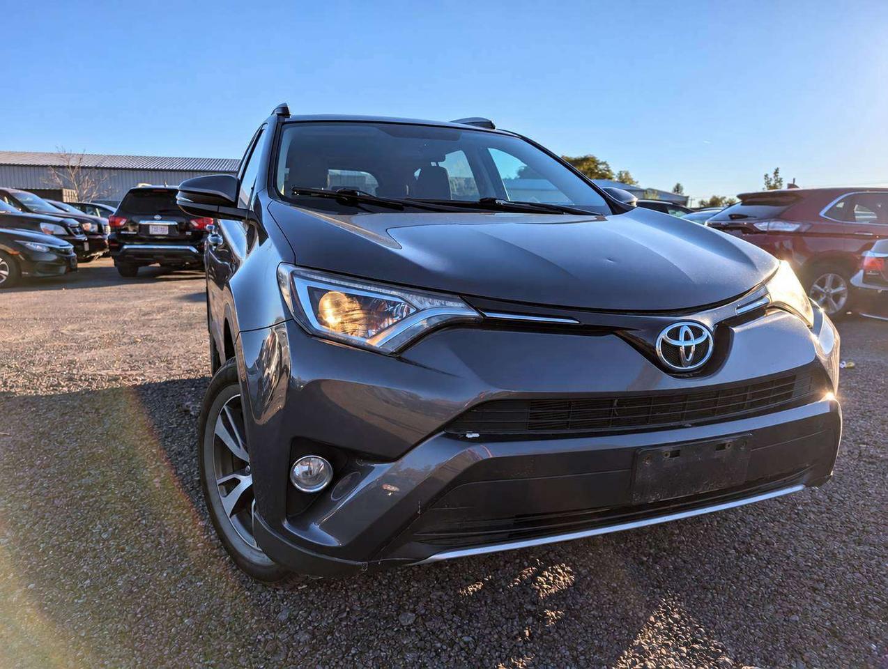 2016 Toyota RAV4 XLE (One Owner, No Accidents) Photo
