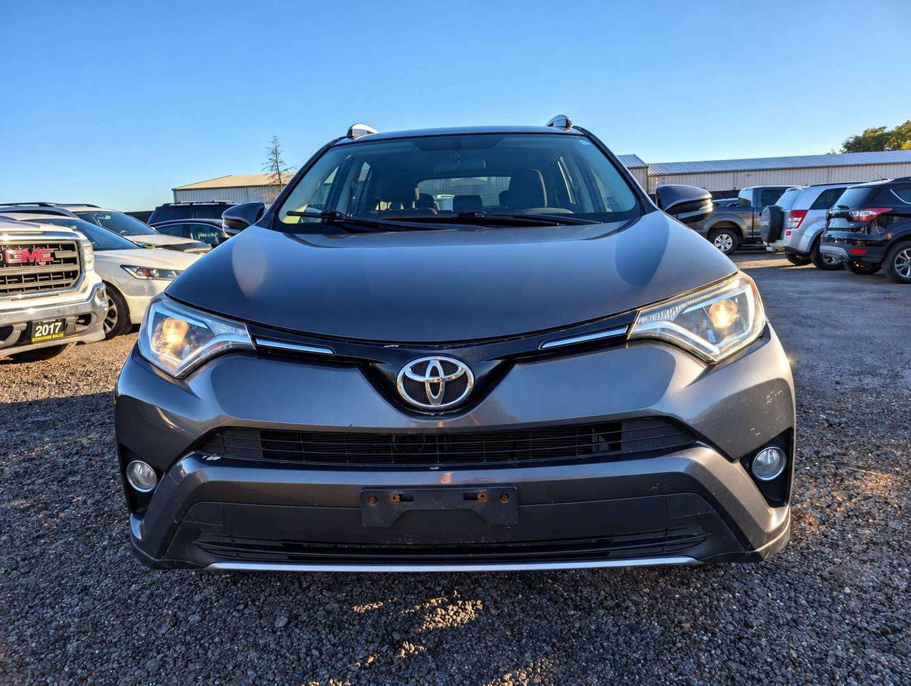 2016 Toyota RAV4 XLE (One Owner, No Accidents) Photo