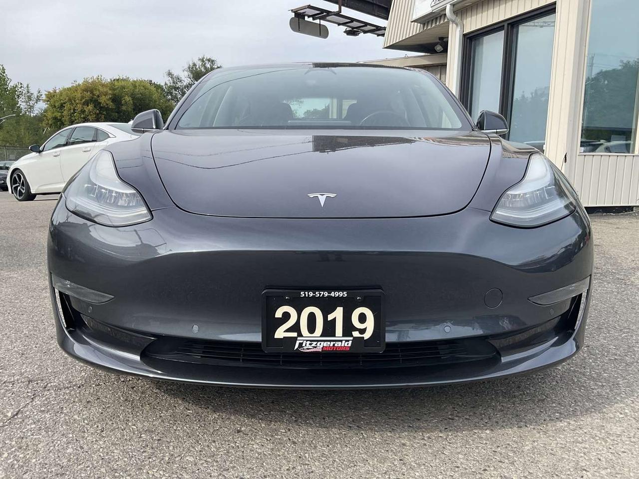 2019 Tesla Model 3 Long Range AWD LEATHER! NAV! CAMERAS! Photo