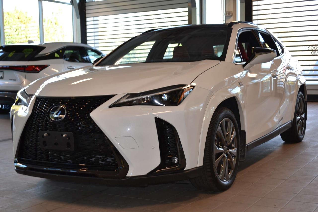 2025 Lexus UX 300H  Photo0