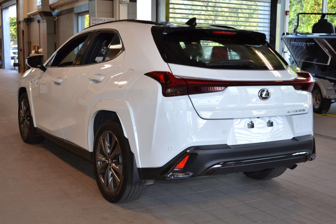 2025 Lexus UX 300H  Photo1