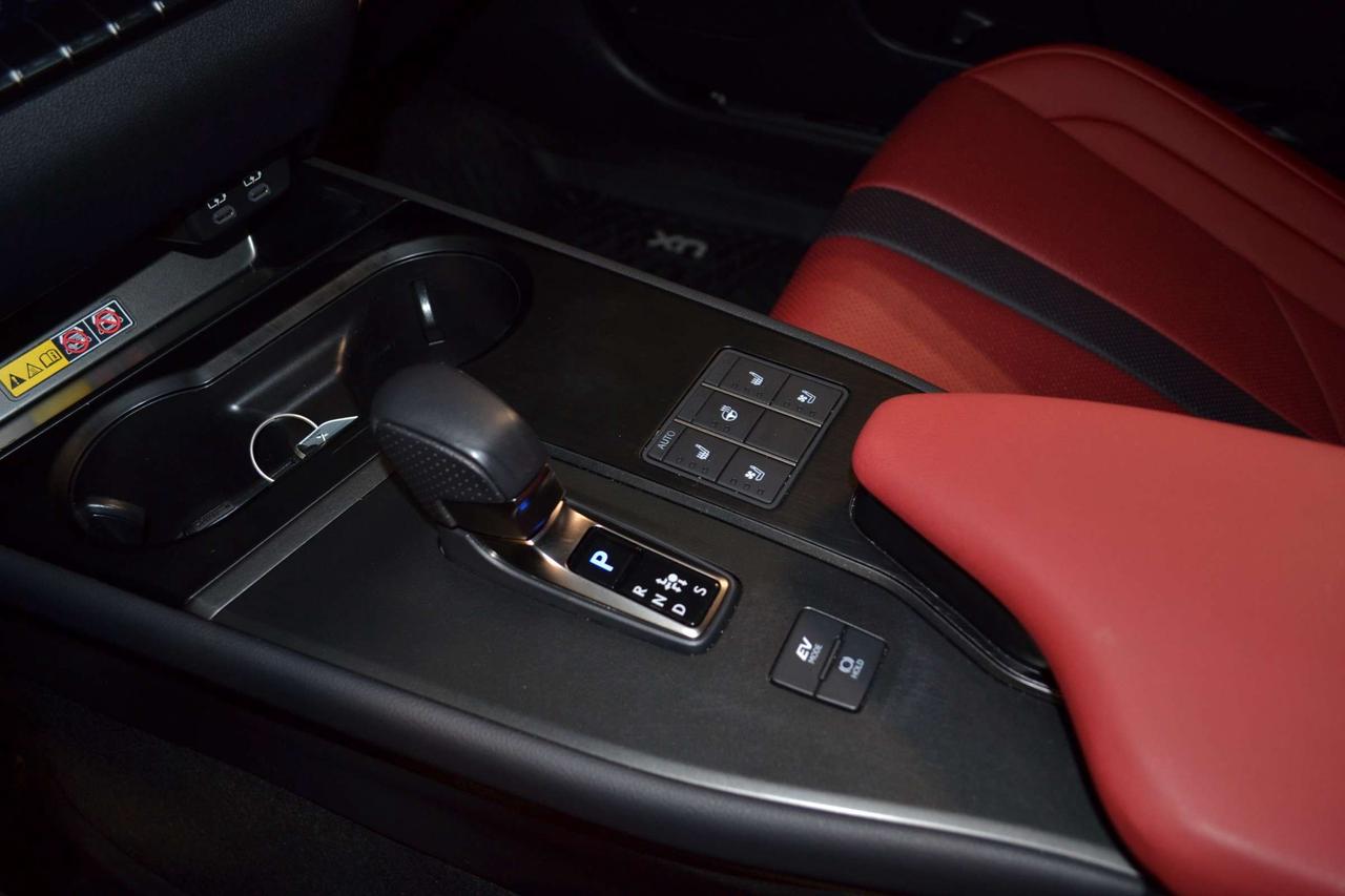 2025 Lexus UX 300H  Photo