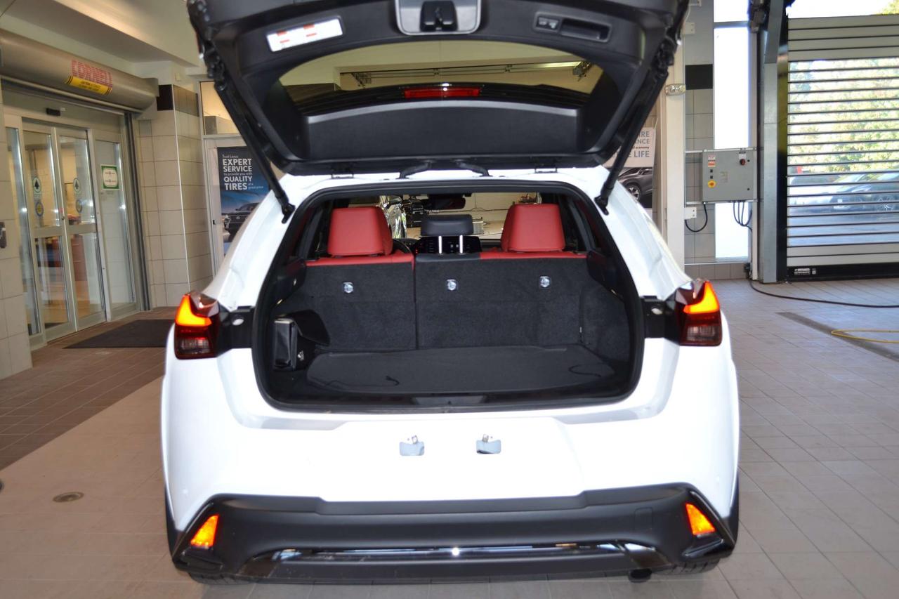 2025 Lexus UX 300H  Photo