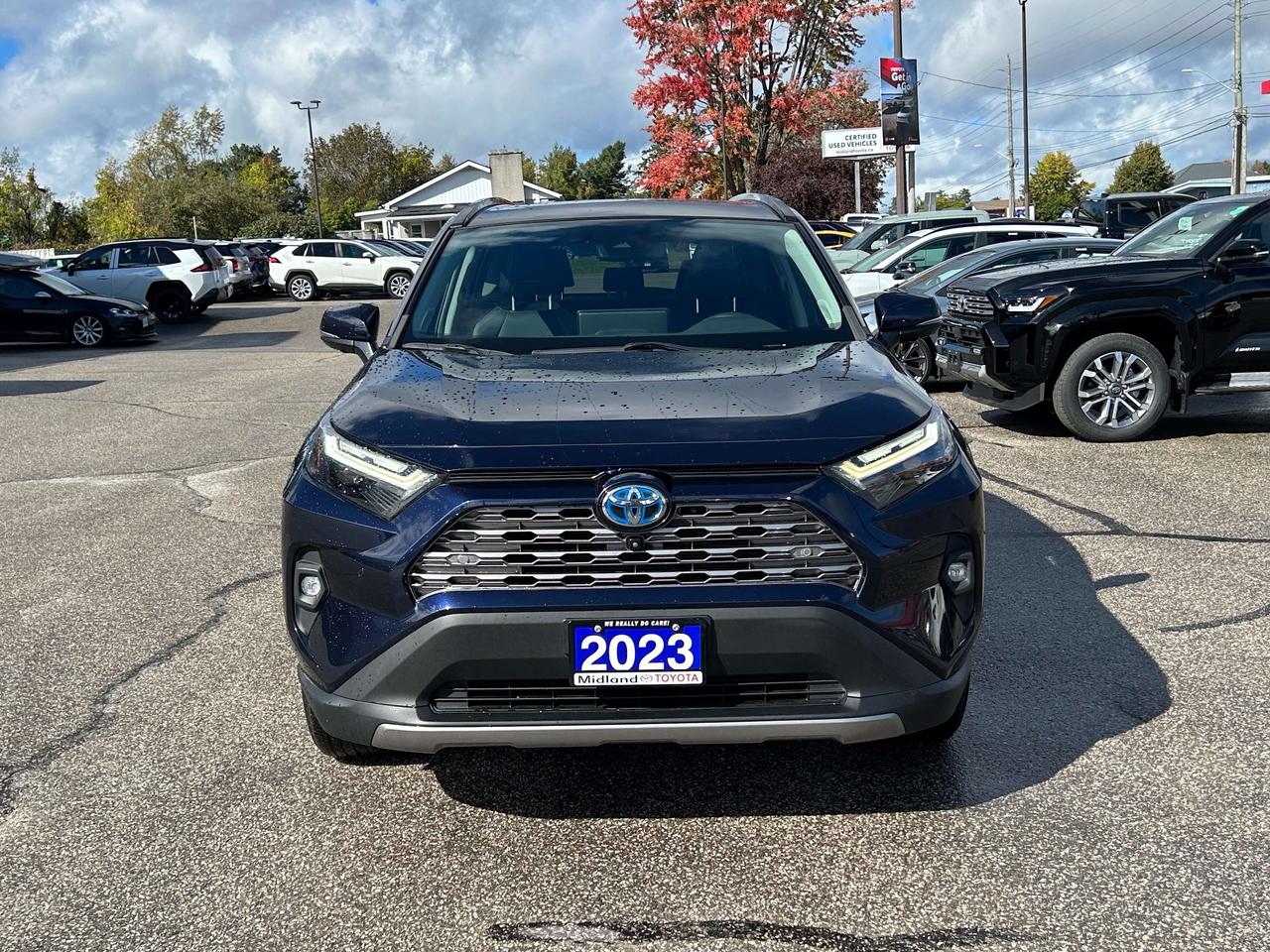 2023 Toyota RAV4 Limited Hybrid   No Reported Accidents   JBL Audio Photo