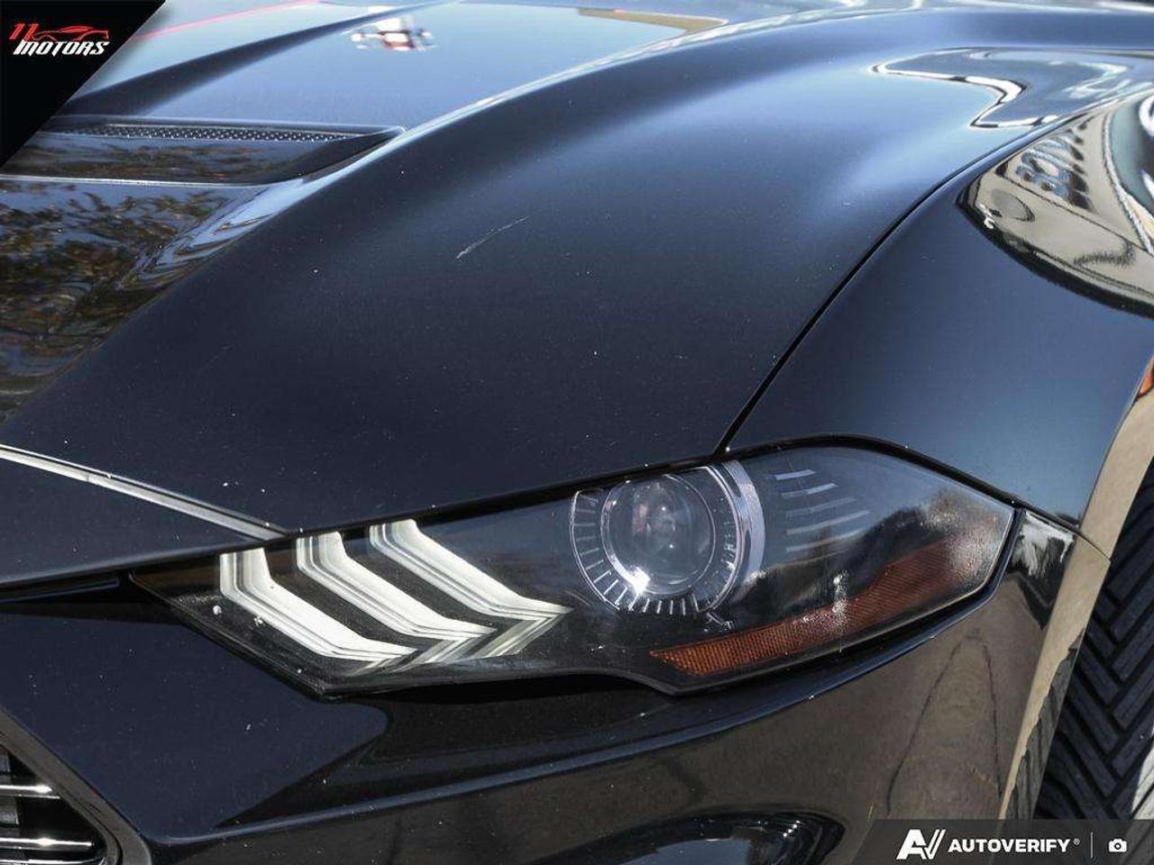 2019 Ford Mustang GT Premium Convertible   CALIFORNIA SPECIAL   NO ACCIDENTS Photo