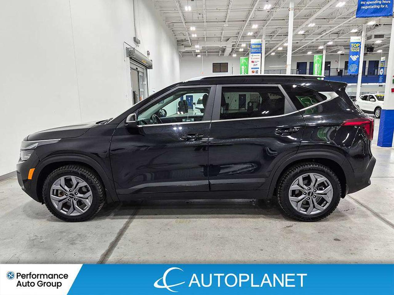 2024 Kia Seltos EX, Sunroof, Android Auto, Heated Seats! Photo
