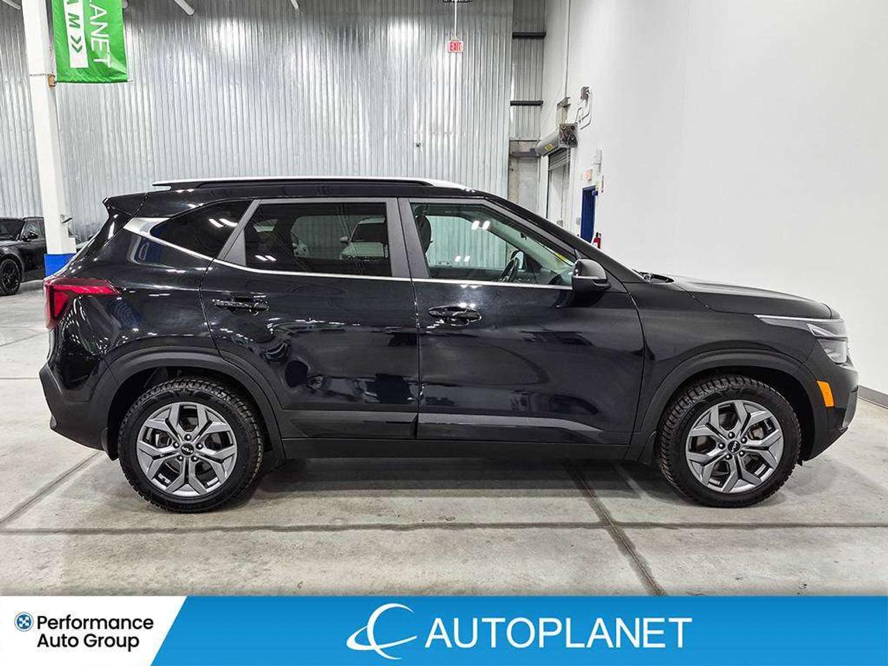 2024 Kia Seltos EX, Sunroof, Android Auto, Heated Seats! Photo