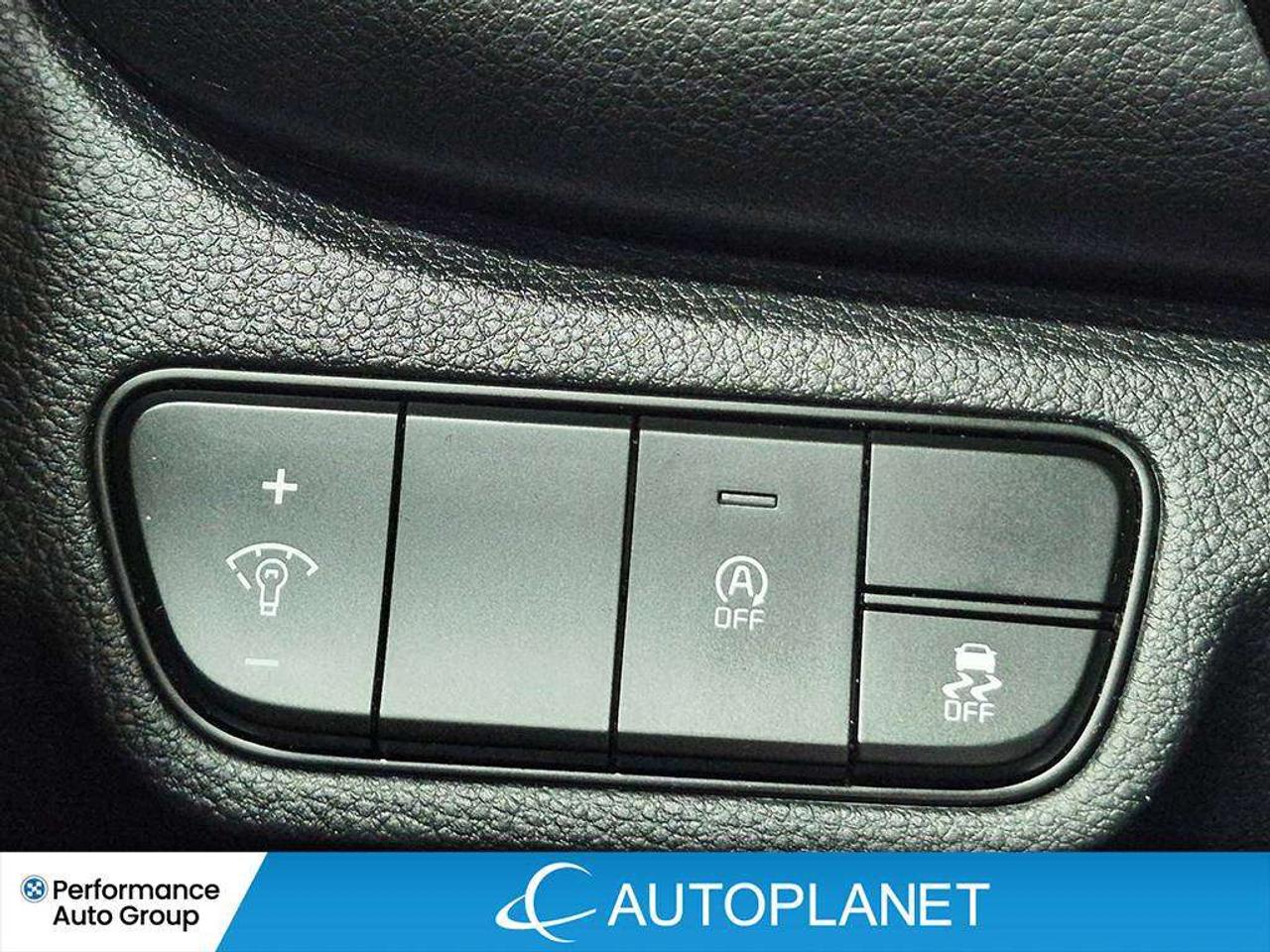 2024 Kia Seltos EX, Sunroof, Android Auto, Heated Seats! Photo