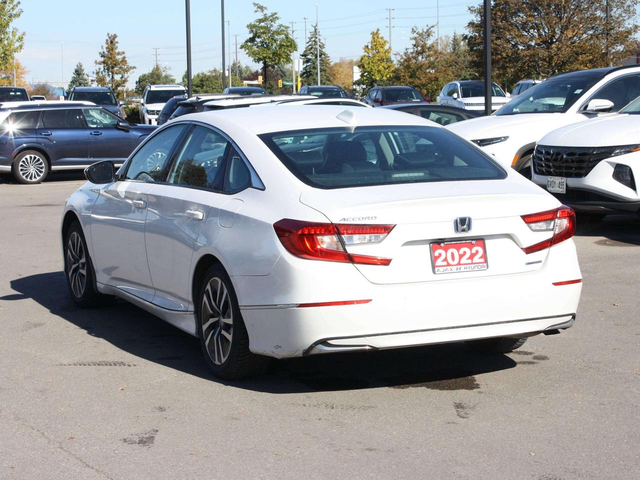 2022 Honda Accord  Photo