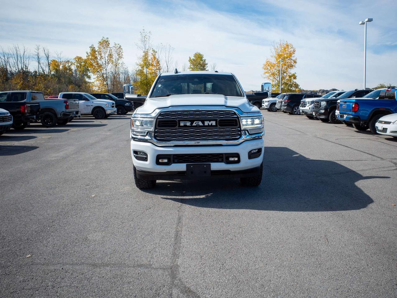 2022 RAM 2500 Limited - Retractable Running Boards   Tow Hooks Photo