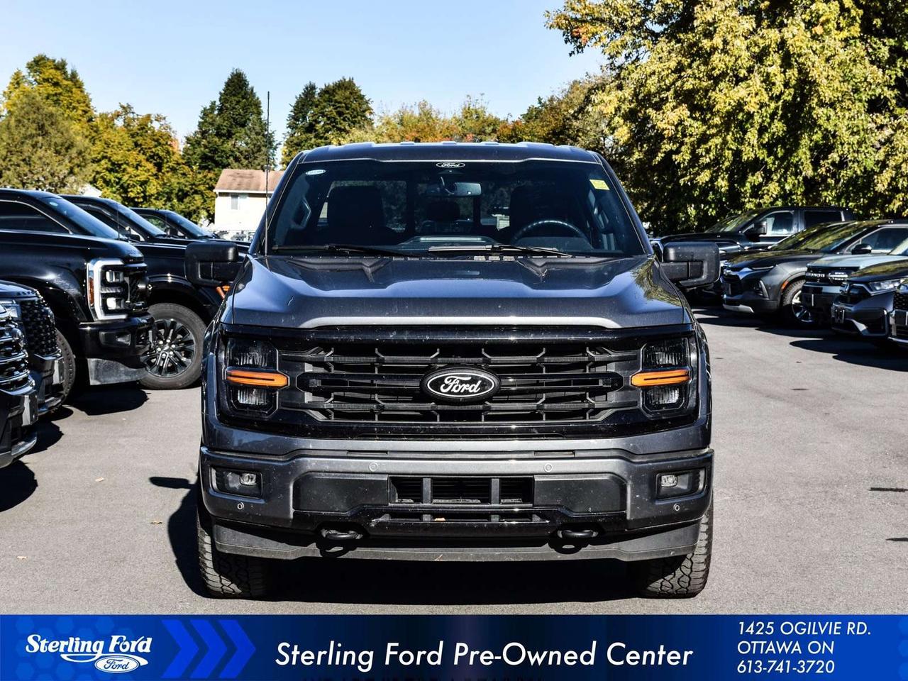 2025 Ford F-150 XLT Photo