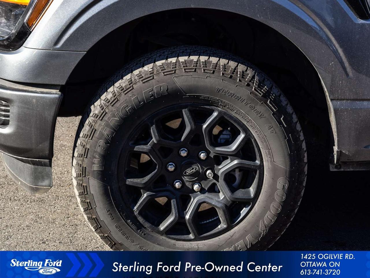 2025 Ford F-150 XLT Photo