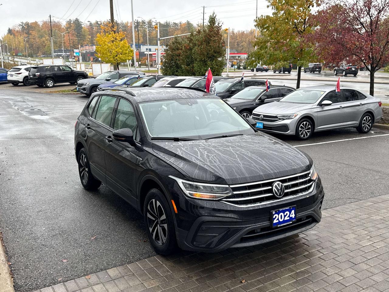 2024 Volkswagen Tiguan Trendline Photo