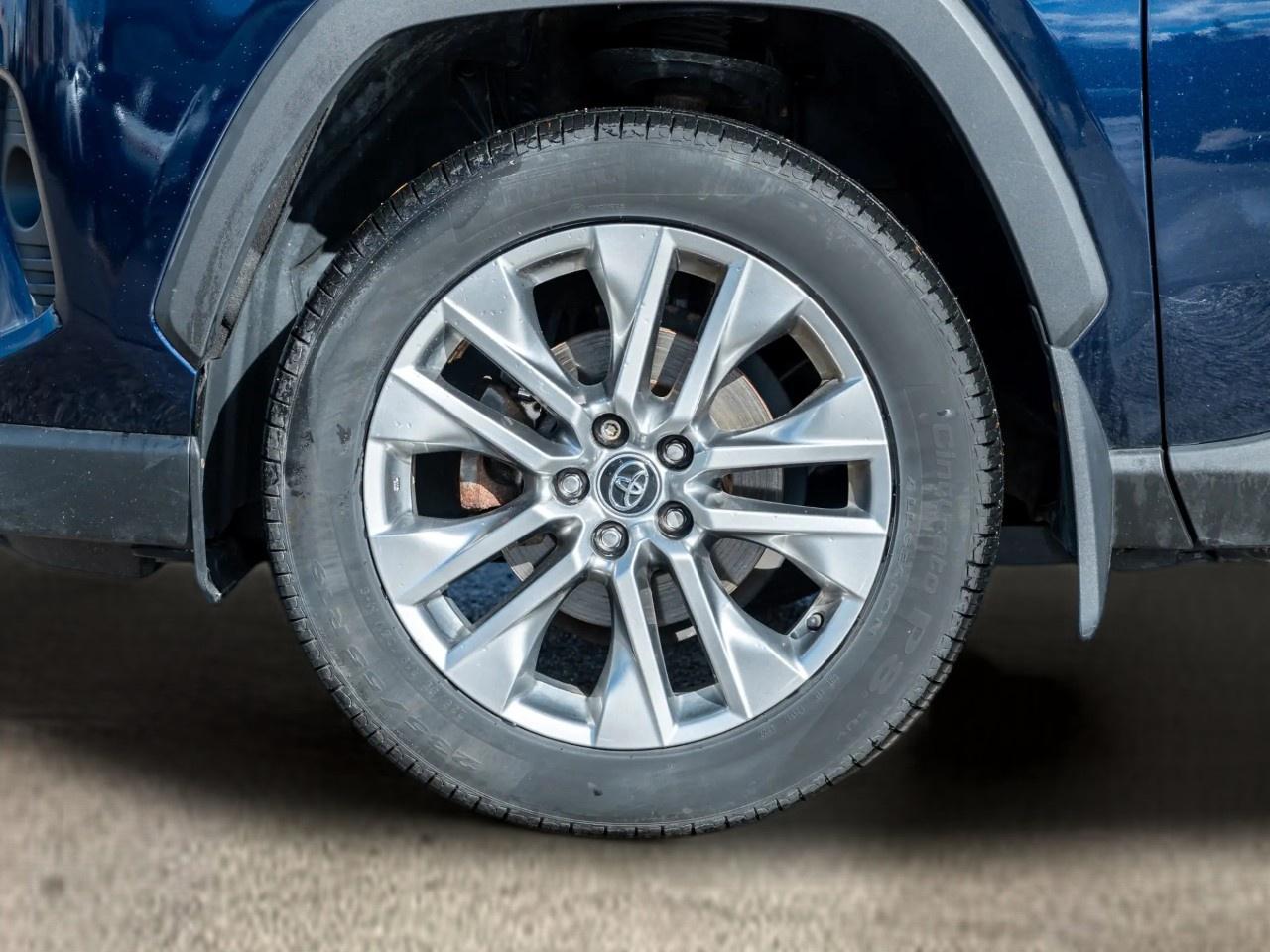 2019 Toyota RAV4  Photo