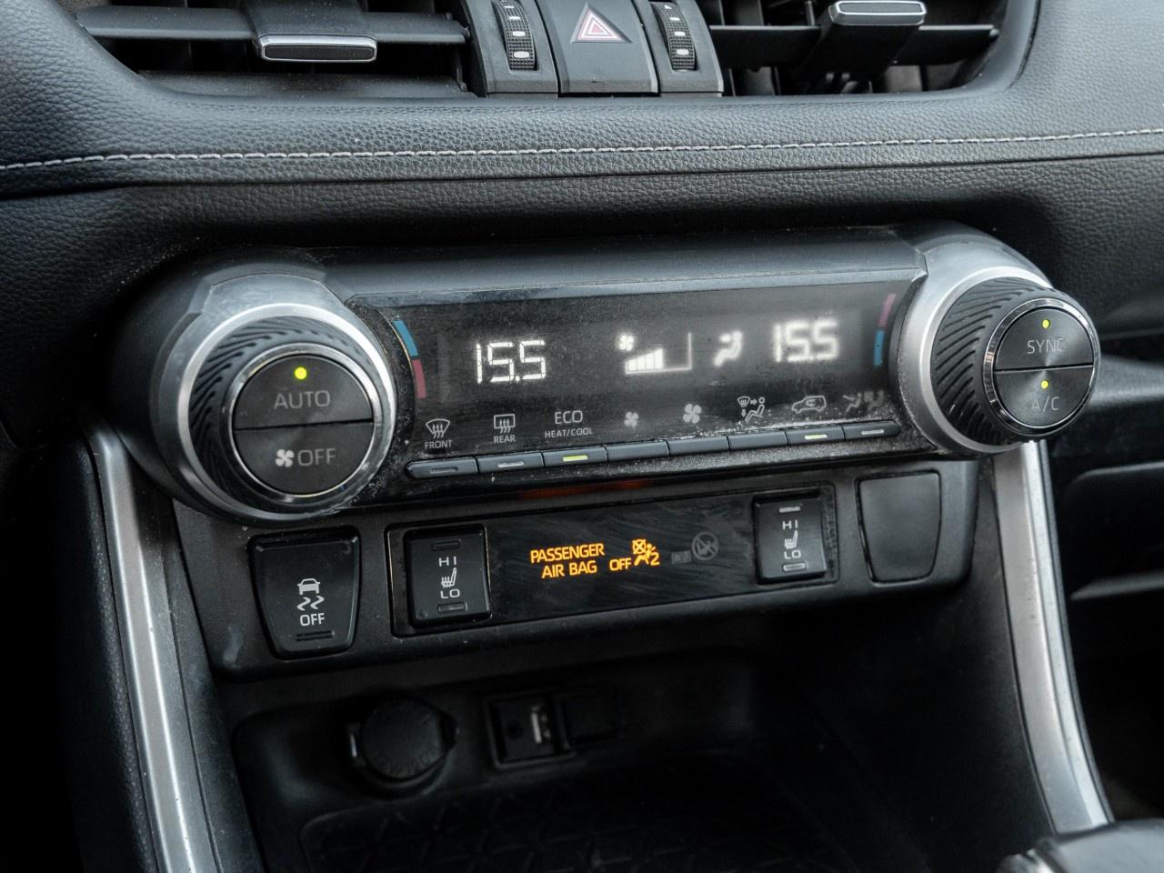 2019 Toyota RAV4  Photo