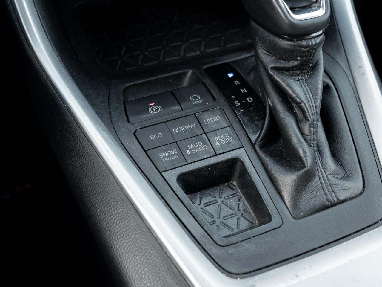 2019 Toyota RAV4  Photo
