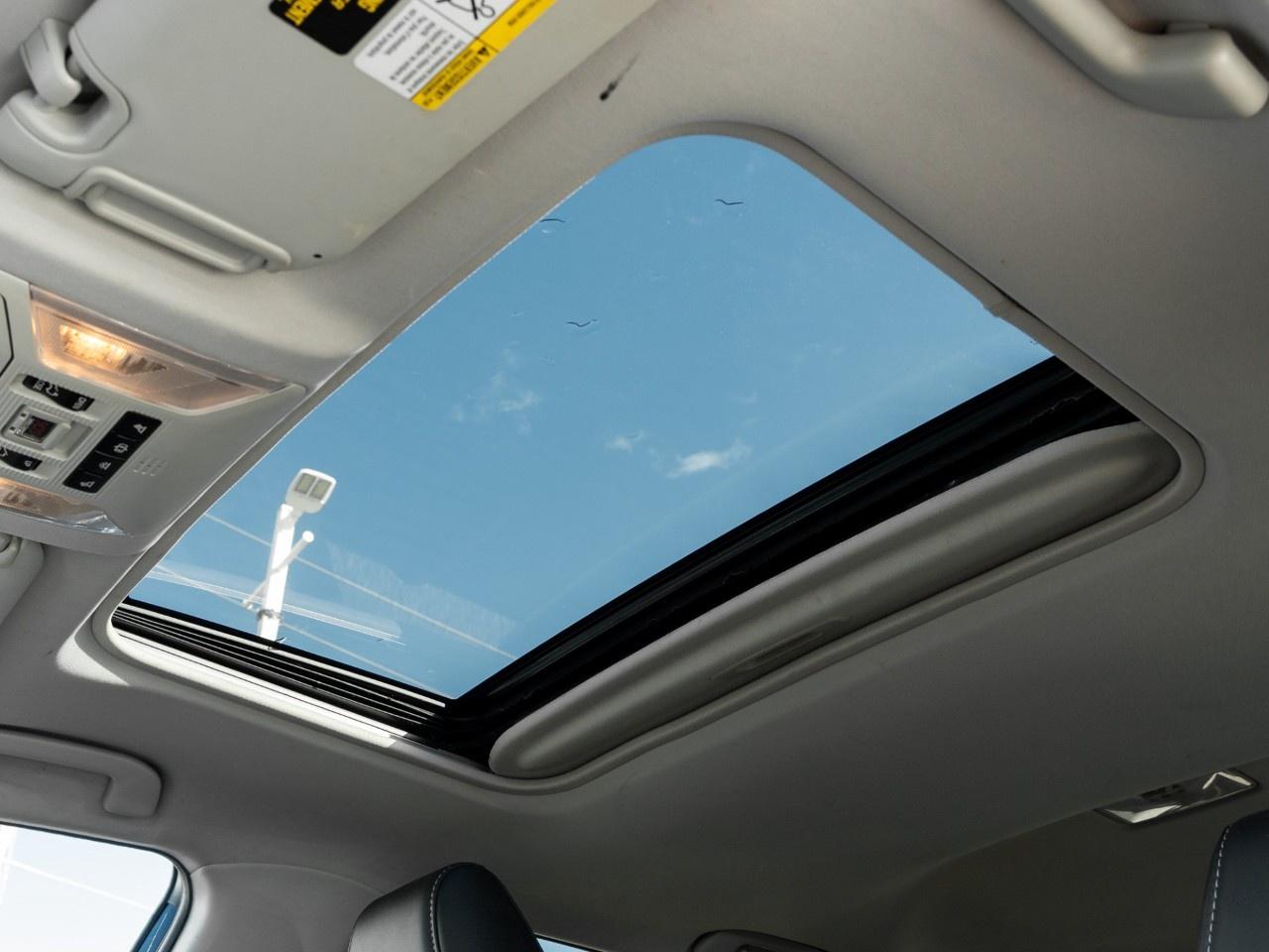 2019 Toyota RAV4  Photo