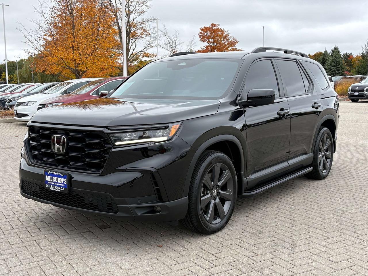 2025 Honda Pilot Sport AWD   Heated Seats & Steering Wheel Photo