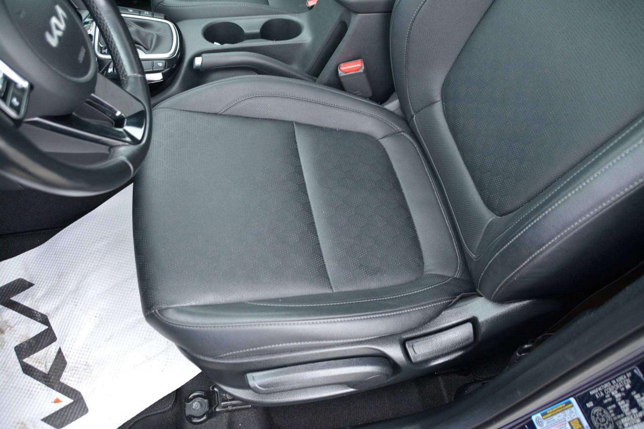2023 Kia Seltos EX Photo