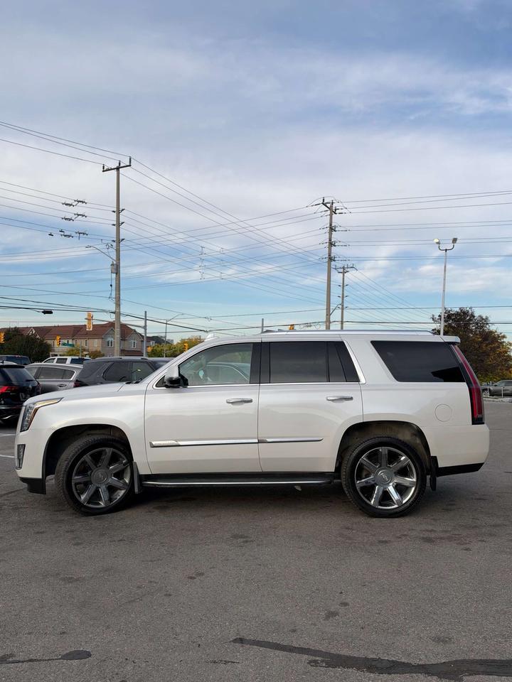 2016 Cadillac Escalade 4WD 4dr Premium Collection Photo4