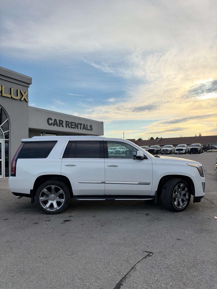 2016 Cadillac Escalade 4WD 4dr Premium Collection Photo
