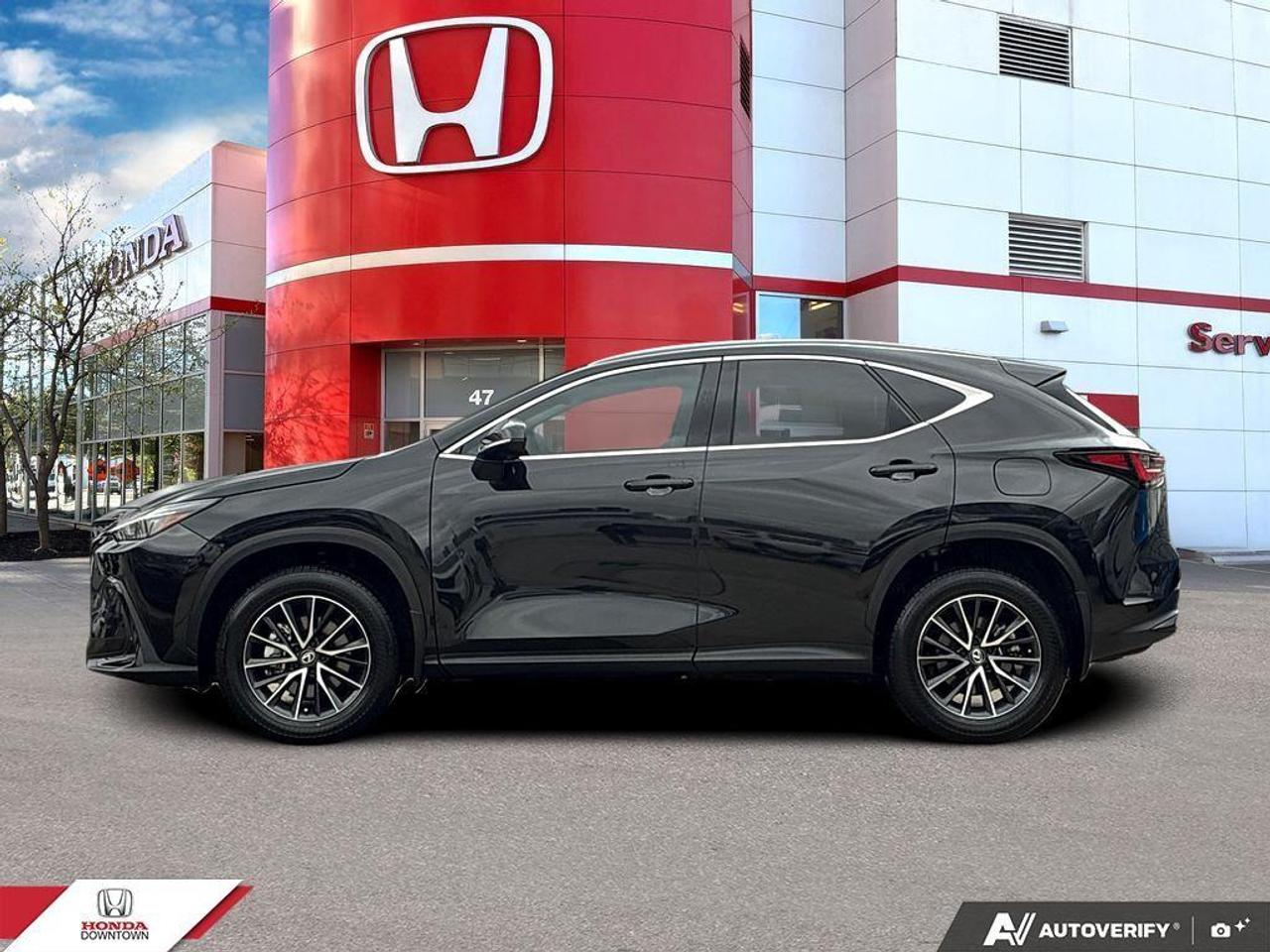 2024 Lexus NX 350 Base 4dr All-Wheel Drive Photo