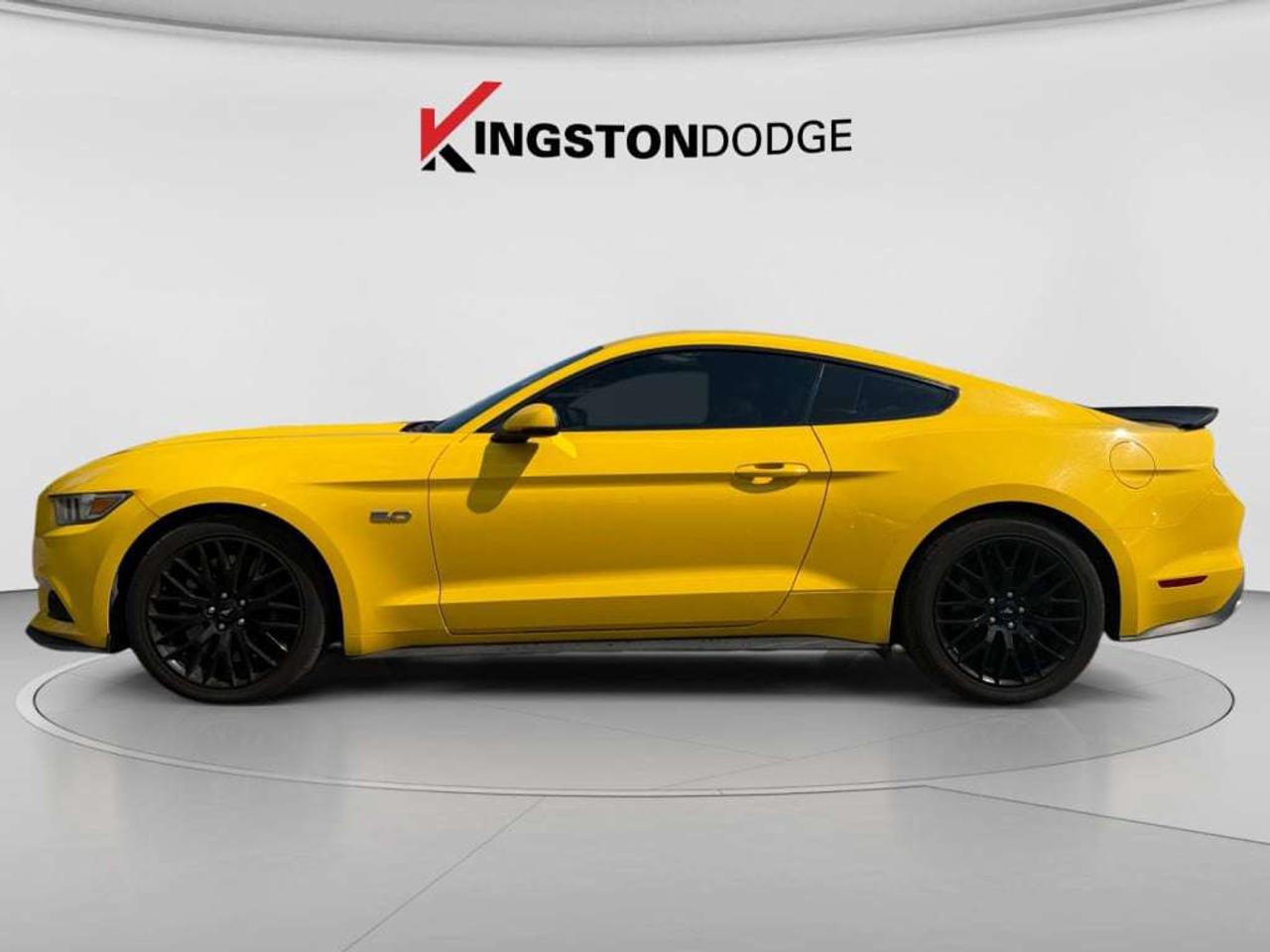 2015 Ford Mustang GT Photo5