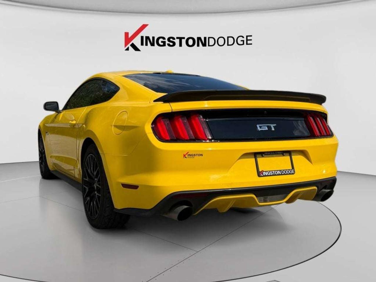 2015 Ford Mustang GT Photo