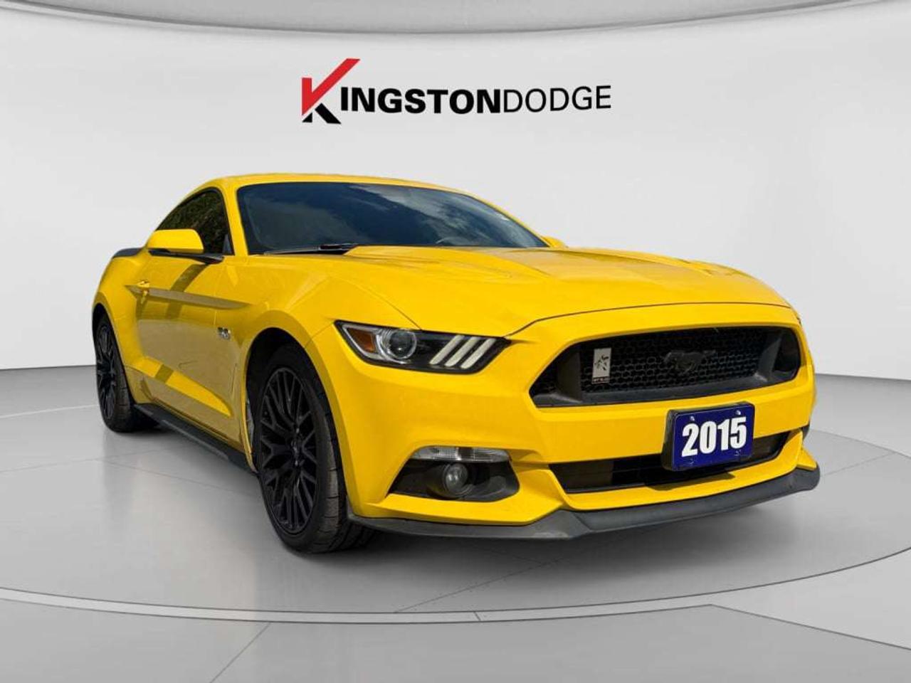 2015 Ford Mustang GT Photo