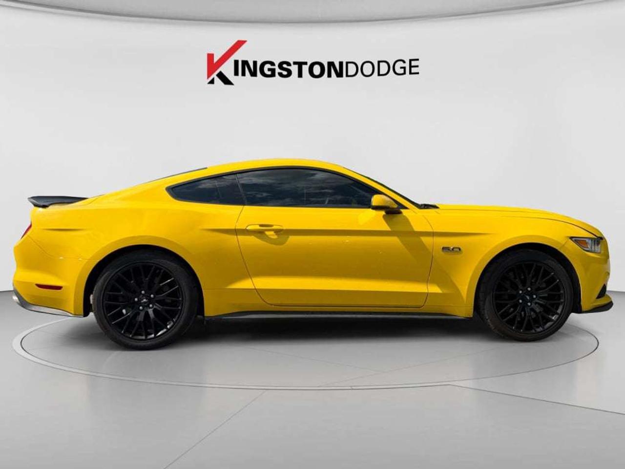 2015 Ford Mustang GT Photo