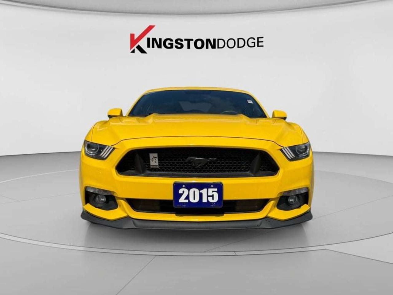 2015 Ford Mustang GT Photo