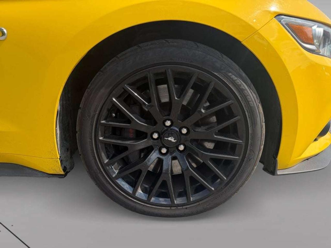 2015 Ford Mustang GT Photo