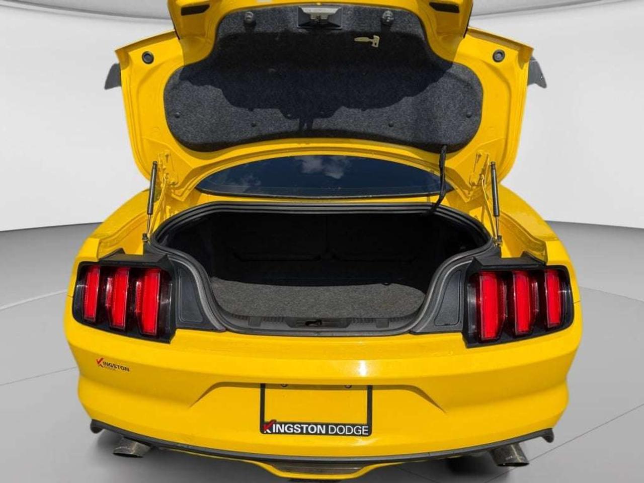 2015 Ford Mustang GT Photo