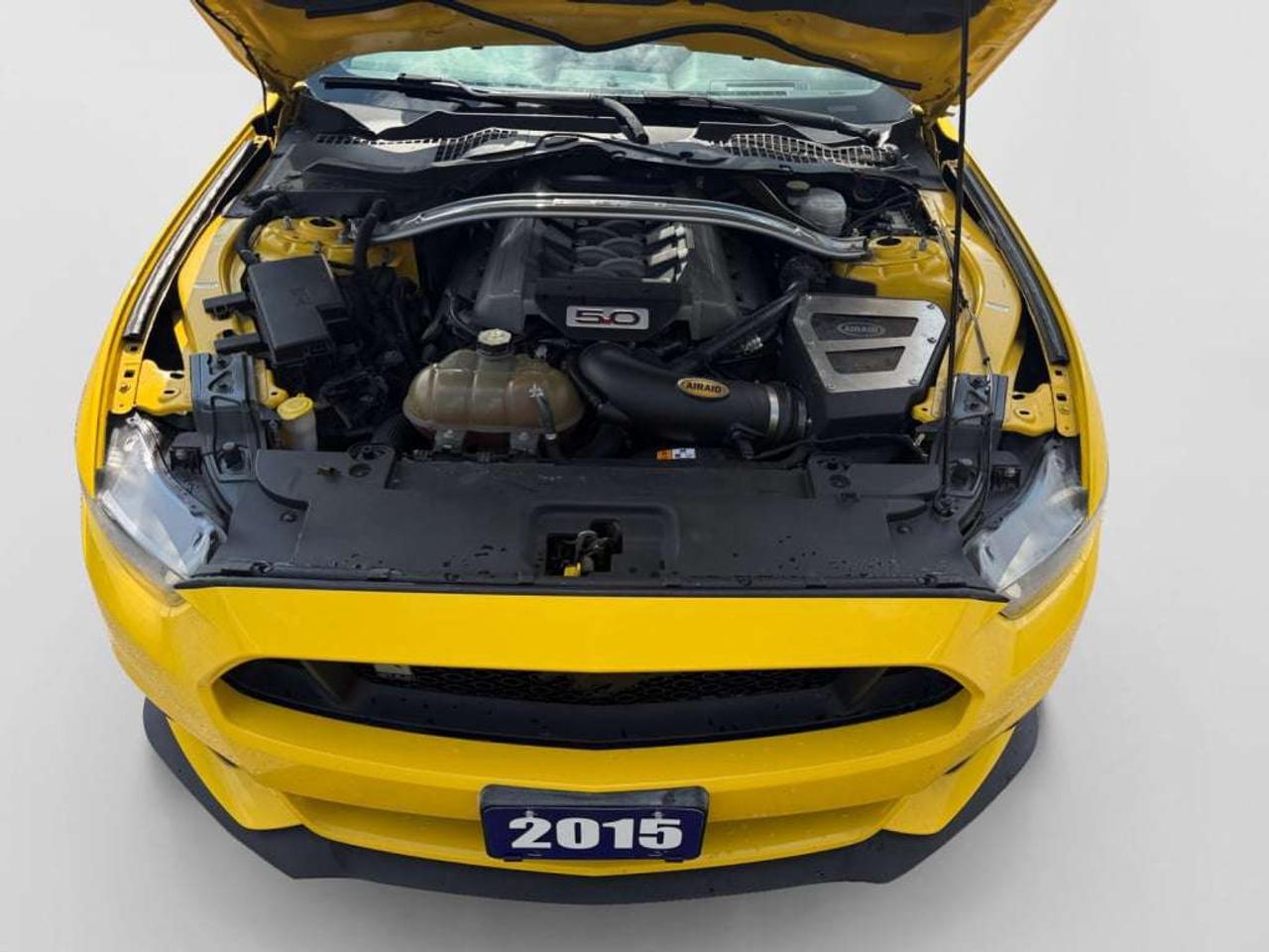 2015 Ford Mustang GT Photo