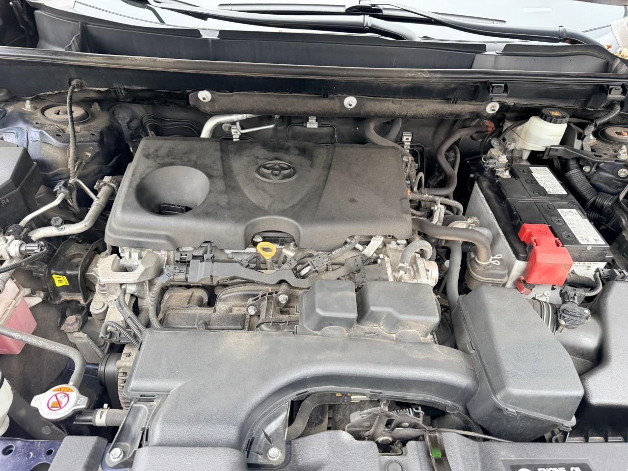 2023 Toyota RAV4 XLE 4dr All-wheel Drive Photo