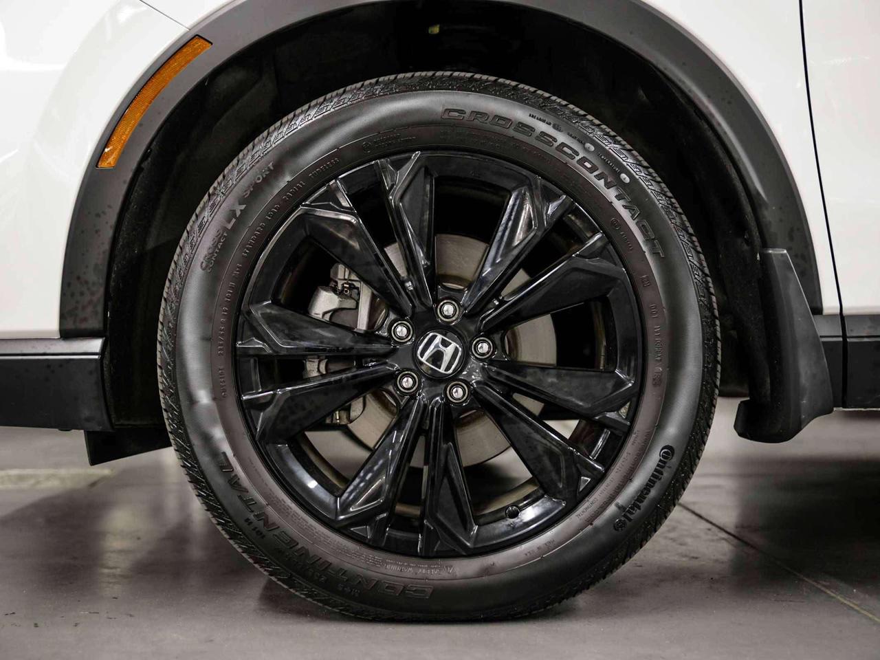 2025 Honda CR-V  Photo