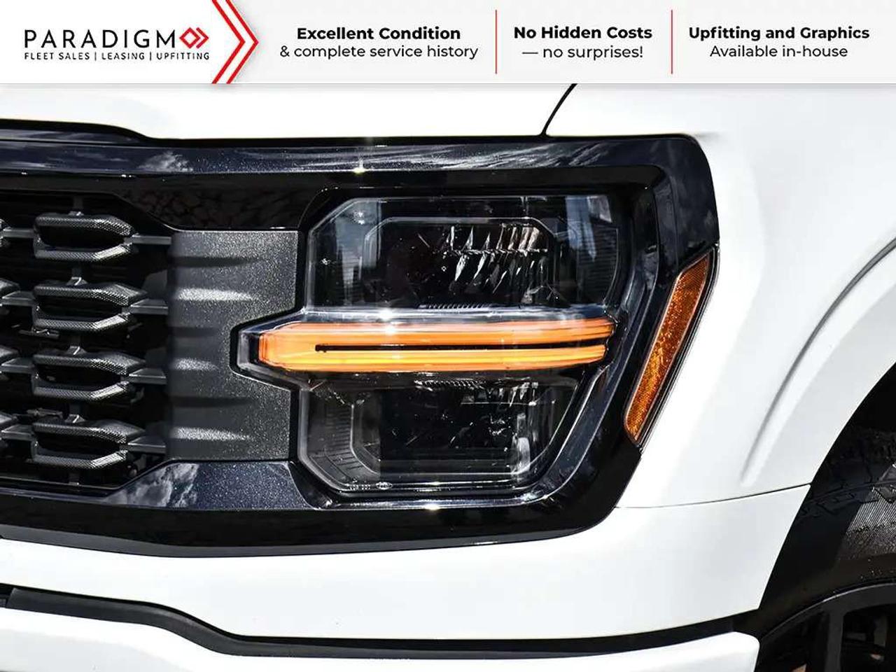 2025 Ford F-150 STX Photo