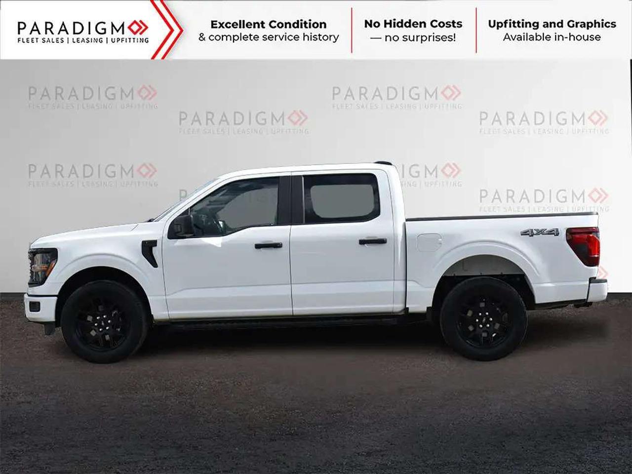 2025 Ford F-150 STX Photo5