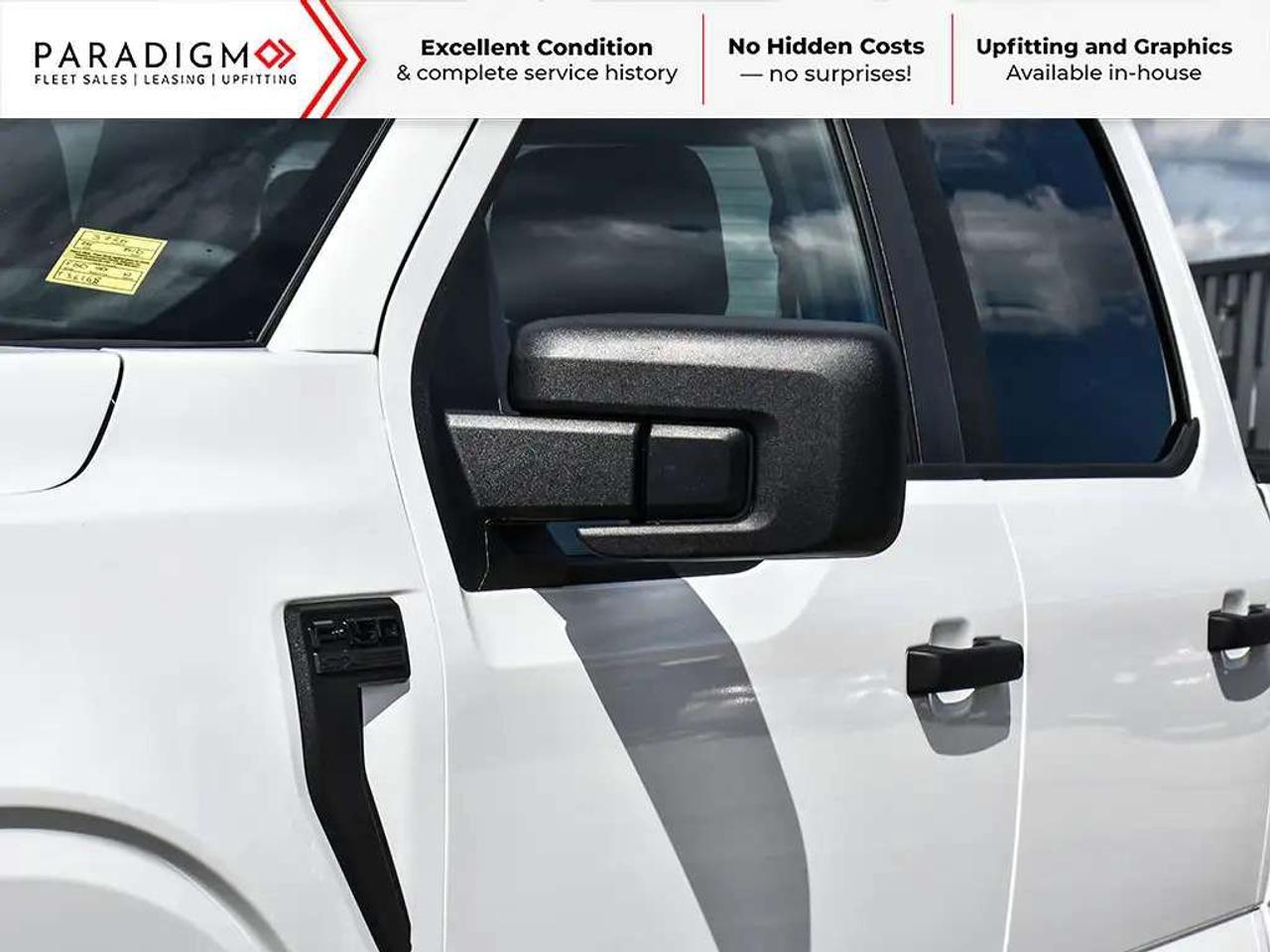 2025 Ford F-150 STX Photo