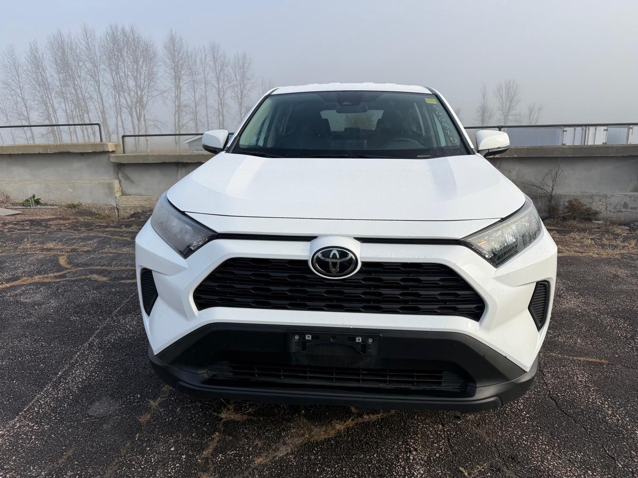 2025 Toyota RAV4 LE 4dr All-wheel Drive Photo