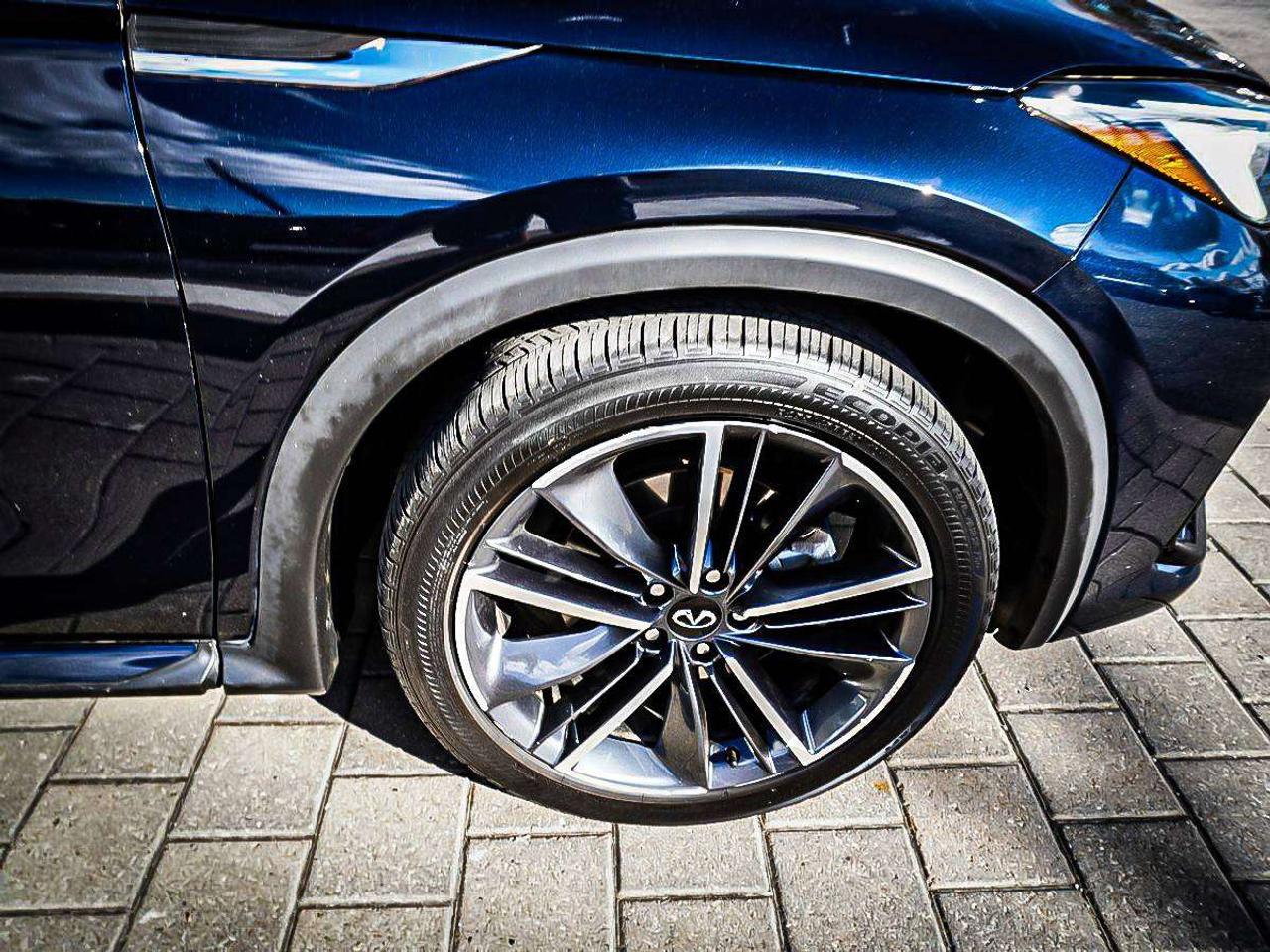 2024 Infiniti QX55  Photo