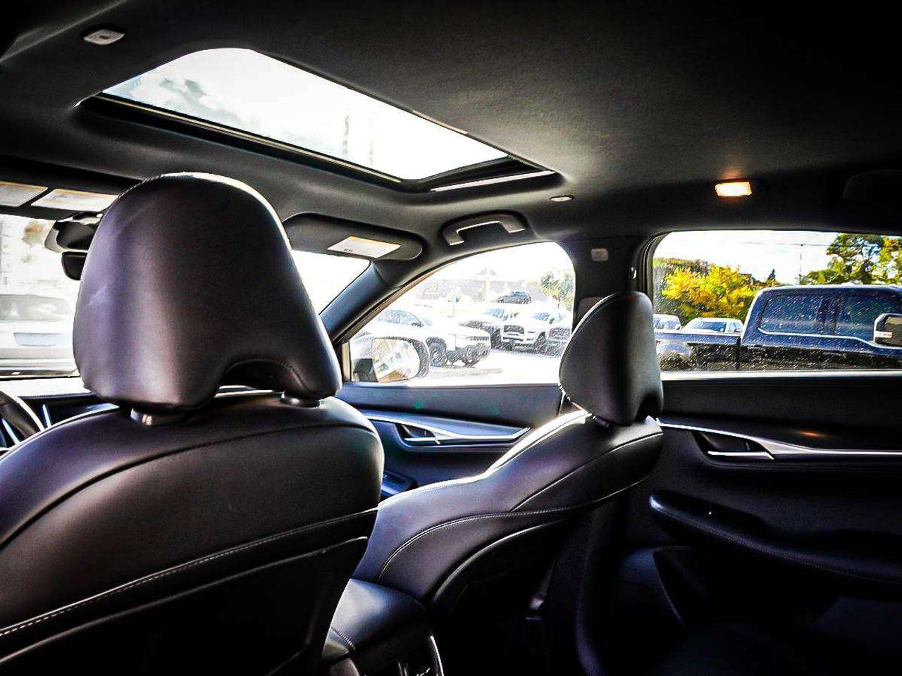 2024 Infiniti QX55  Photo